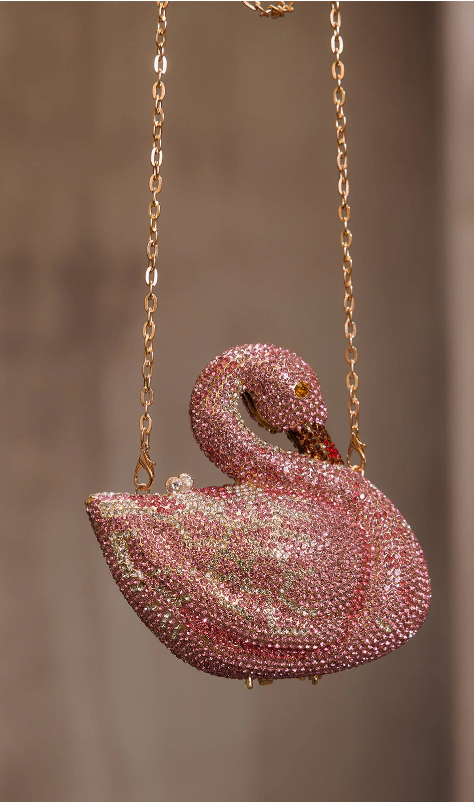 Posh Swan